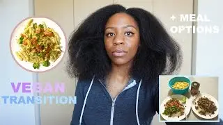 Why I'm Transitioning to VEGAN + MAJOR CHANGES | T'keyah B