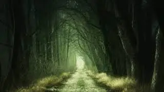Copyright Free Songs for Horror Thriller 01 | Free Audio Library