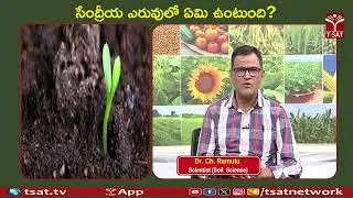 What is in organic fertilizer? | T-SAT