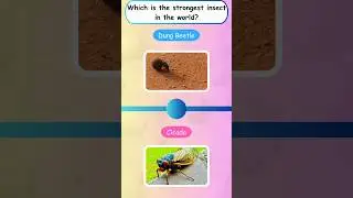 How Well Do You Know Insects? Guess the Insect #TinyThinks #shorts #quiz #quizforkids #insects