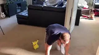 Pikachu Getting Thrown Against The Wall With Sound Effects