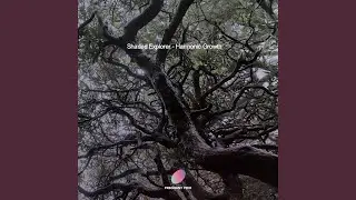 Drops of Life