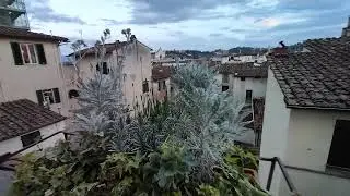 Sounds of Spring in Florence, Italy - May 8th, 2022 @italy4suitcasesandacat