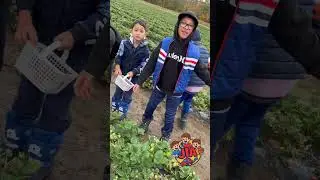 🍓🎃 Fall Fun at Barrie Hill Farms! | JiA Kids Family Adventure 🍁👨&zwj;👩&zwj;👦