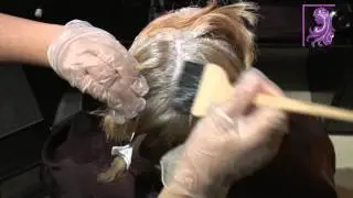 TUTORIAL COMO APLICAR UN TINTE