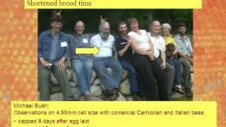 Bees kill Varroa mites - hygienic behavior - ResistantBees.com