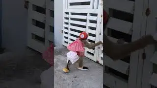 Monkey LyLy helps her mother open the gate #shorts #monkey #youtubeshorts #viral #animals