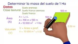 Peso del suelo