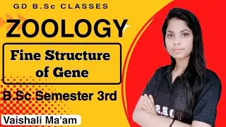 Fine Structure of Gene |  Zoology B.sc 3rd Semester |B.Sc 2nd Year | Vaishali Ma'am