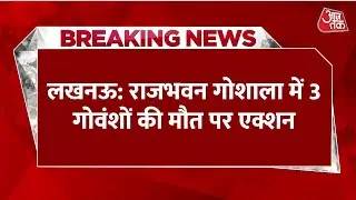 Breaking News: Lucknow में राजभवन गोशाला में 3 गोवंशों की मौत, लापरवाही पर 2 अधिकारी निलंबित
