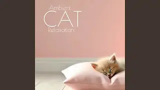 Ambient Cat Relaxation