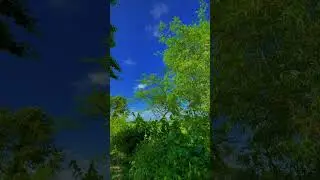 প্রকৃতির সৌন্দর্য..💞🌄🥰 || &bull;Citycop || #bangladesh #naturalbeauty