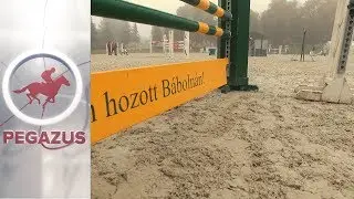 2017 November | Talent-felvételi | Pegazus Magazin | m4Sport