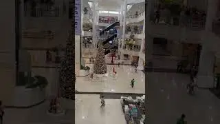 ROBINSONS MALL #shorts #respect #robinson