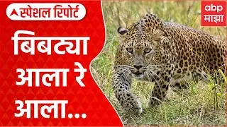 Pune Bibtya : बिबट्या आला रे आला...भल्या सकाळी पुणेकरांची तारांबळ उडाली Special Report