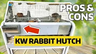 KW Rabbit Cage Setup: Is It Worth It for Homesteaders?