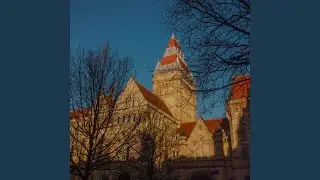 to be in Vienna and love without trying