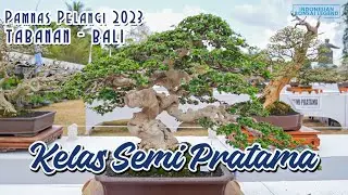 KELAS SEMI PRATAMA @PAMNASBONSAIPELANGITABANAN2023