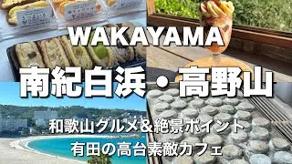 【和歌山旅】南紀白浜/高野山/絶景スポット/高台カフェ/黒潮市場/白良荘グランドホテル