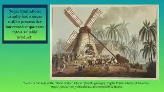 The Transatlantic Slave Trade