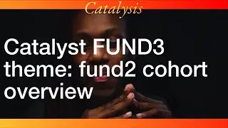 Cardano $500,000 Catalyst FUND3 - theme: fund2 cohort overview