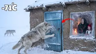 Surviving −71°C: How Native Americans Thrived With Wolves in the Harshest Winter