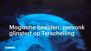 Magische beelden: zeevonk glinstert op Terschelling - RTL NIEUWS