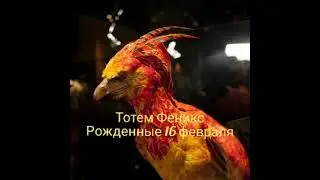 Тотем Феникс рожденные 16 февраля
