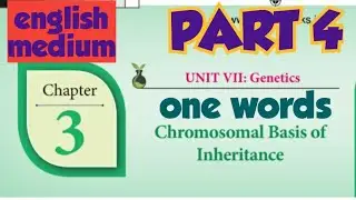 12th bio botany lesson 3| one words (part 4) | english  medium | chromosomal basis of inheritance