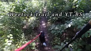 Weetock trail hike and YT BS #Weetocktrail #croatannationalforest