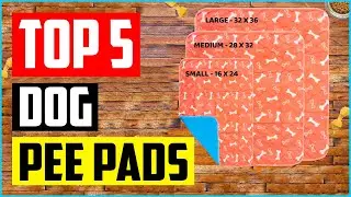 Top 5 Best Washable Dog Pee Pads of 2021 Review
