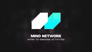 Mind Network | Intro to ongoing activities