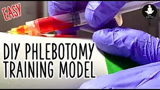 Clinical skills OSCE - Phlebotomy Venipuncture Simulation Model For Medical, Vet & Nursing Students