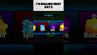 day 5 #bloxfurit #roblox #zioles #like #channel #gaming #subscribe #rolling #fruit #bad