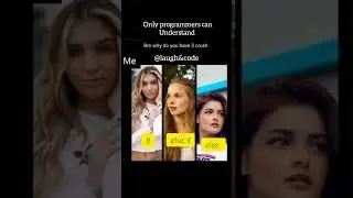 Why Programmers Have 3 Crushes! 😂