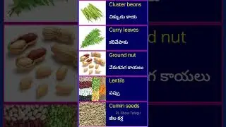 Vegetables Names - English - Telugu #viral #ytshorts #shortvideo #english #rlshowtelugu