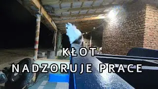 Pies stracił cierpliwość, kot przejmuje nadzór nad remontem🤣 S4E04