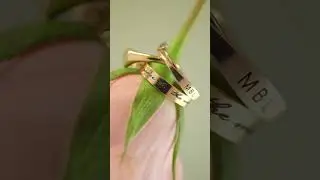 Custom Engraved Rings | The Perfect Personalized Gift