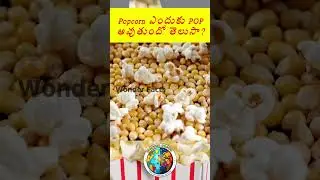 How Popcorn Pops?? | Wonder Facts |Facts in Telugu|#trending #youtubeshorts #shorts #facts#funfacts