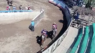 segundo animal club de huasos criollos Longovilo