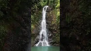 Waterfall Wonderland | Waterfall 4K