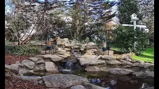 Live Bird Feeder Cam | Peaceful Pond & Waterfall | ASMR