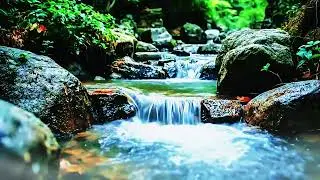 Relaxing Nature Sounds for Sleep, Forest Sounds, Beautiful Birds Singing,Relax, Study, Meditate,#001