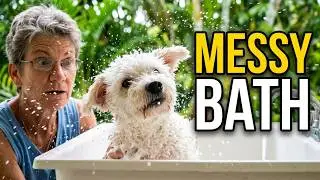NANOOK BATH TIME WHILE IN QUARANTINE ON THE CARIBBEAN ISLAND. ISLAND LIFE WITH NANOOK FAM