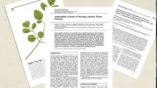 Moringa Research Video