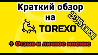 Обзор проекта Torexo Finance / Стоит ли инвестировать или СКАМ не за горами?