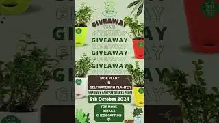 Grand Giveaway Alert / Plant Giveaway / Plants Giveaway / #shorts #gardening #giveaway #giveaways