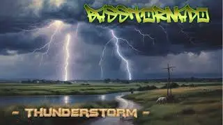 Basstornado - Shut your damn mouth