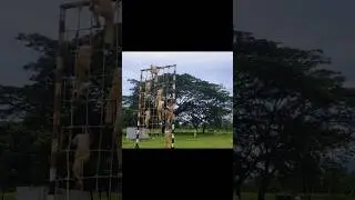 Assam police🔥Ab battalion training status #assampolice #police #youtubeshorts #ytshorts #shorts