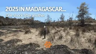 2025 in Madagascar... Drought, Wildfires, Cyclone, Aid Cuts, Political Instability and more 🔥🌳